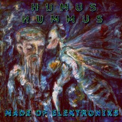 Made Of Elektroniks (album version)