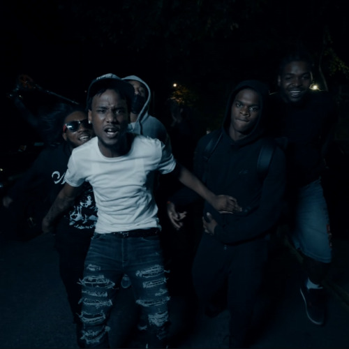 Jbg Maury x Lefty Hound - Elite