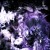 Artwork for PRECIOUS ROADKILL ANGEL