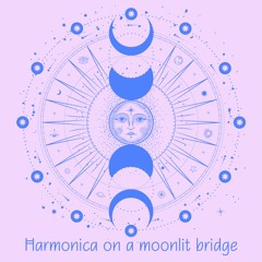 Harmonica on the moonlit bridge E A7  - 02:06:2023, 23.22