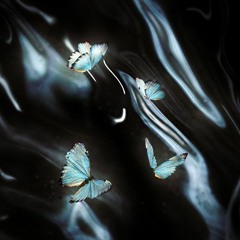 Shadow Forest (Ambient Videogame Track)