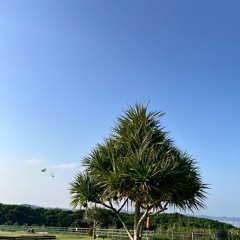 めりー feat. 蓮 & Cuyt