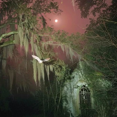 выдыхаю пеплом (owleeng, wavekiddie)