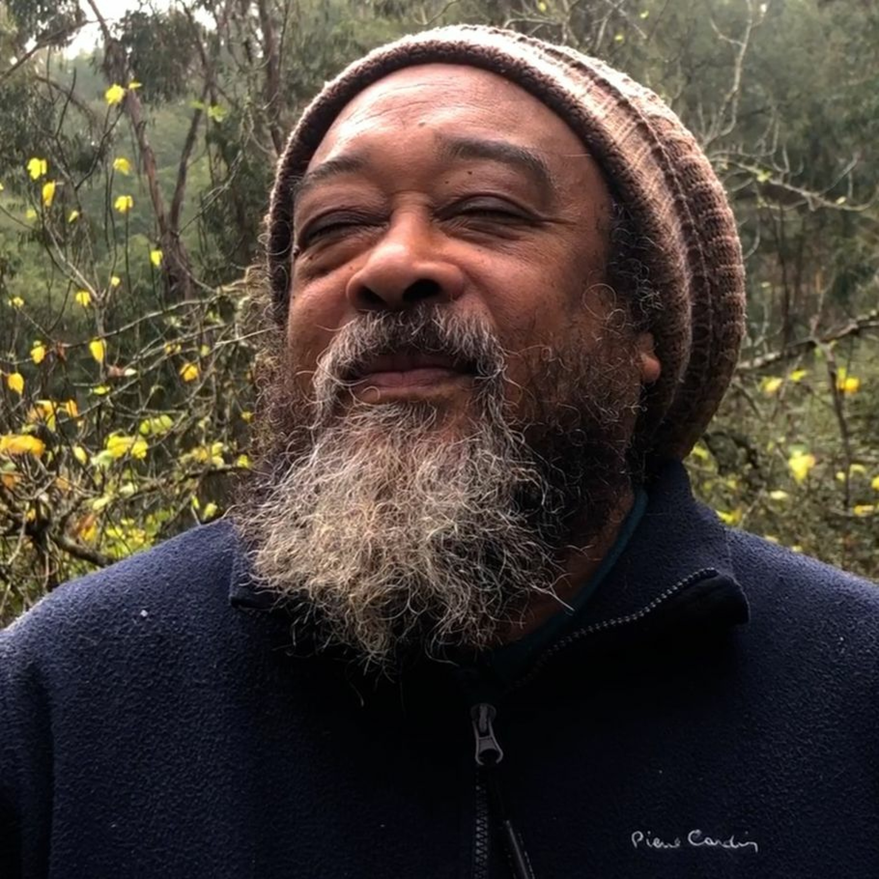 Satsang with Mooji