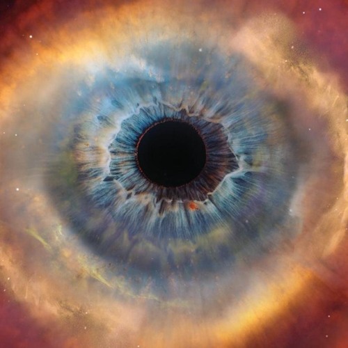 cosmos