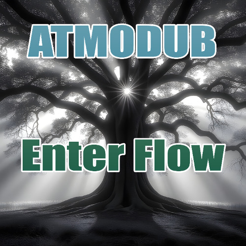 Enter Flow (Ambient Dub Techno)
