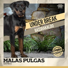 Under Break - Bassrakaldo