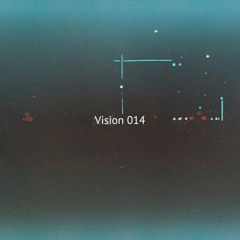 Vision 014