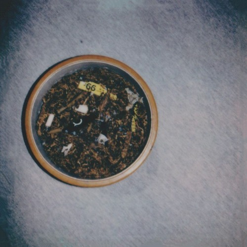 guts [full EP stream]