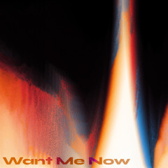 Want Me Now (feat. Charlotte Lucretia)