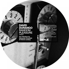 Random Pleasure (Alexander Kowalski Remix)