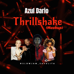 Thrillshake - Michael Jack X Dr Dree Eminem X Kelis (Mashup)