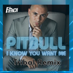 Pitbull - I Know You Want Me...(FerCHTribalREMIX)Free download!