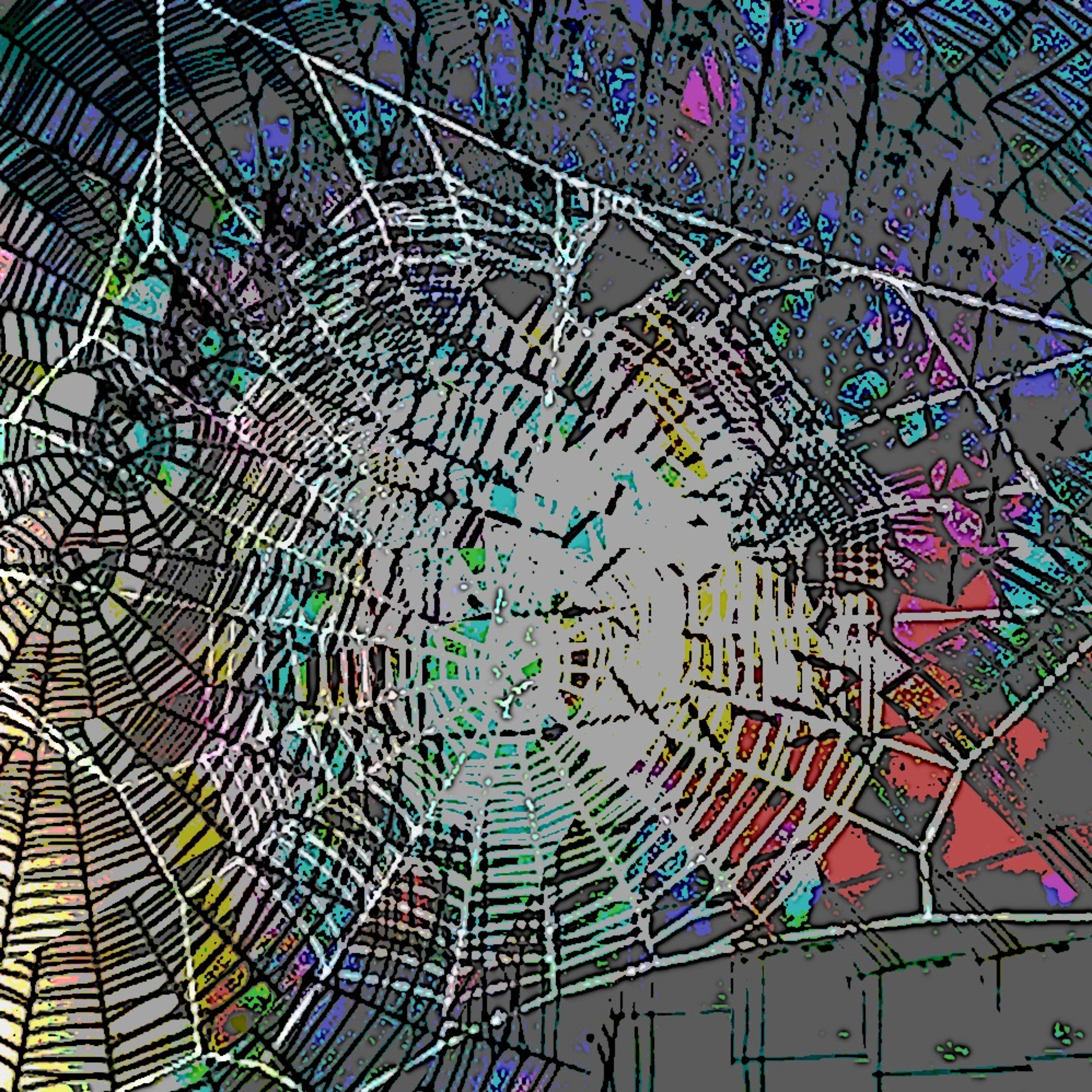 Spiderwebs (naviarhaiku460) episode artwork