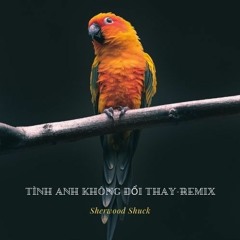 Tình Anh Không Đổi Thay - Remix