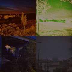 The Secret Jungle Law