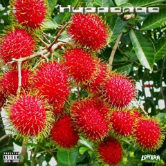 Rambutan -No master