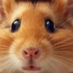 old hamster w/ brit*