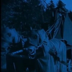 horse in Tha Farm Yeehaw Yeeahaw