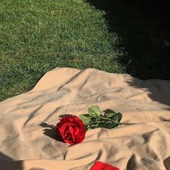 Summer Is for Falling in Love - Sarah Kang