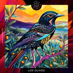 Premiere | Dvniel & Manu Ela | Los Olivos [The Magic Sun]