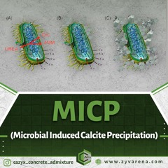 MICP (Microbial Induced Calcite Precipitation)