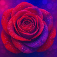 Skidinkdink - Amor Infinitus (Imperio Venus remix by Skidinkdink)