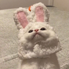 Beautiful Nasheed - Love and Life - Baraa Masoud [slowedreverb  NCN Release].mp3