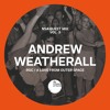 NSA Guest Mix Vol 3. Andrew Weatherall DJ mix artwork - Electronic music tracklist cover image