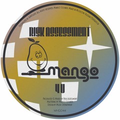 MNG044 | Risk Assessment - 4U | Single