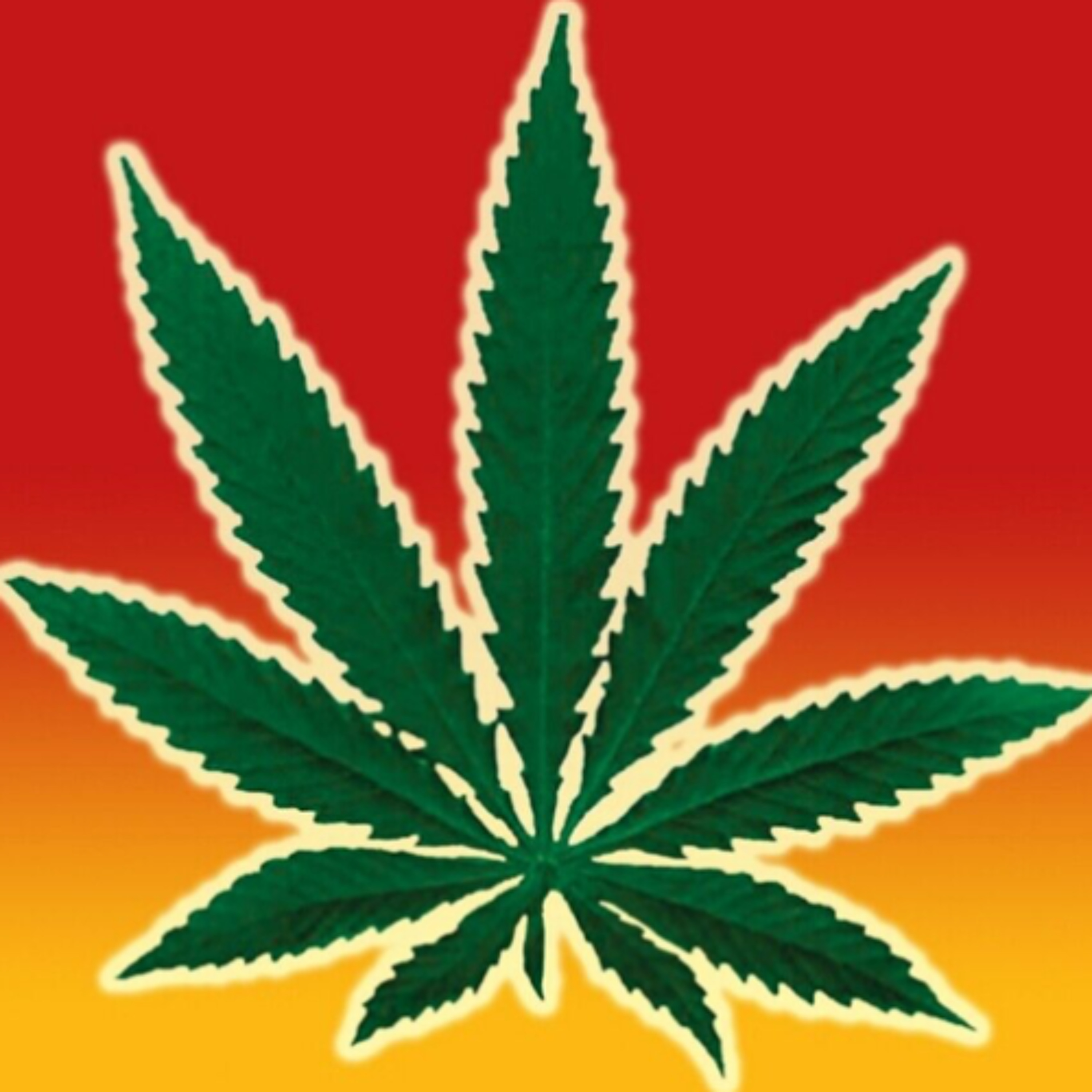 Fixate - Reggae Pressure 2025 episode artwork