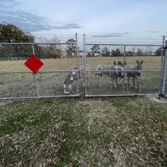 lonely boys club rough leaked.wav