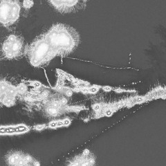 002 - Oreste - Solstice