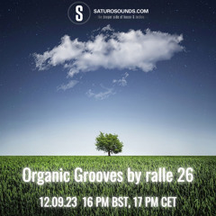 Organic Grooves by ralle 26, 12.09.23