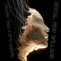 Digital Mind Spillage