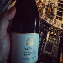 Pinot Noir __ Robert Babicz