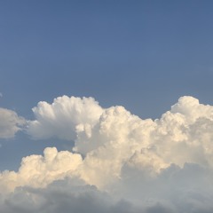 기다린 만큼, 더 (cover)