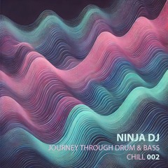 002 Journey Through Drum & Bass (Chill)