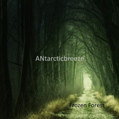 Frozen Forest - Commercial Background Music