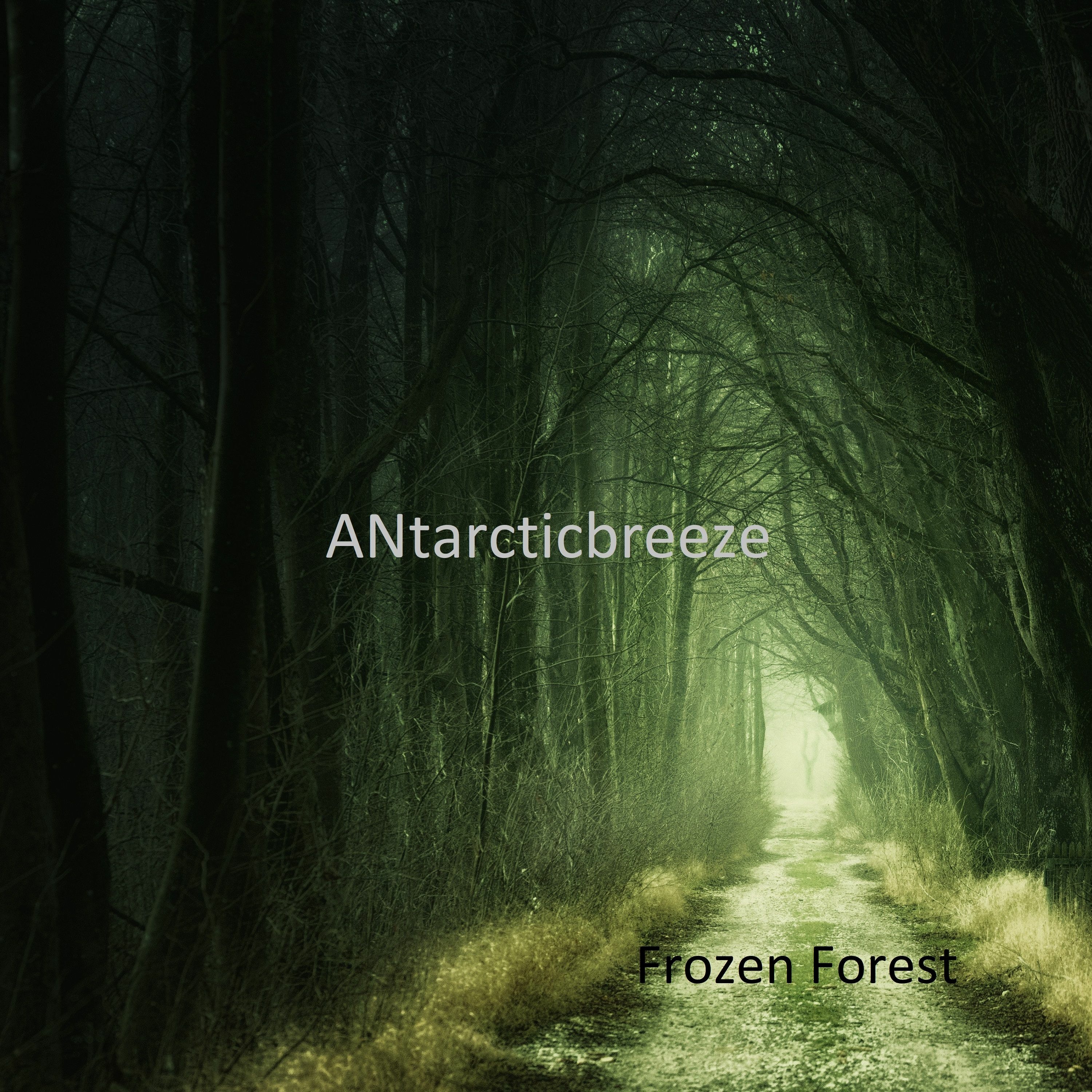 Frozen Forest - Commercial Background Music episode artwork