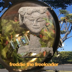 freddie the freeloader