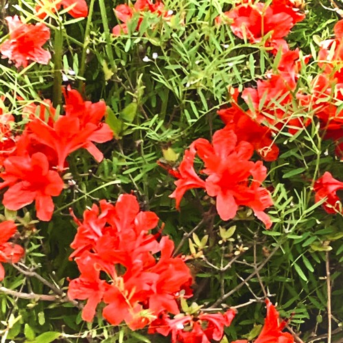 꺄악!(DAMN! DAWN!)