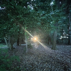 MOOD feat.TRE＆やーまん