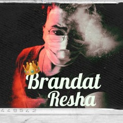 ريشة _ برندات _ (Resha _ Brandat)