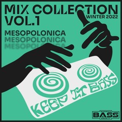 Mix Collection Vol 1: Mesopolonica - Asyleam Sound