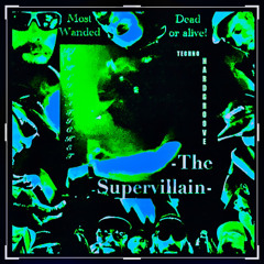 • The Supervillain • Fritzclub-Afterparty Set • funky-hypnotic-Hardgroove/Techno