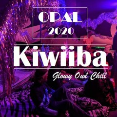 Opal Festival 2020 // Glowy Owl Chill // Friday Night