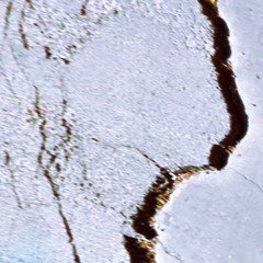 After picture - Forever And Never