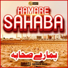 Hamare Sahaba | New Kalam Shane Sahabae Karam Sahaba Sahaba Hamare Sahaba | Sahaba Naat Naats Studio