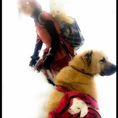 Die Türkische Heidi